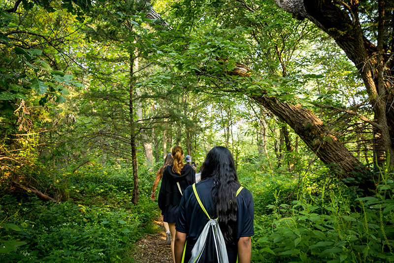 A small group of friends hike through the lush green forest.